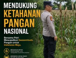 Polsek Tuban Dukung Ketahanan Pangan Nasional melalui Pemantauan Pertanian Warga