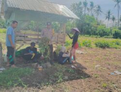 Bhabinkamtibmas Desa Mumbu Sambangi Warga, Ajak Petani Maksimalkan Lahan dan Jaga Kamtibmas