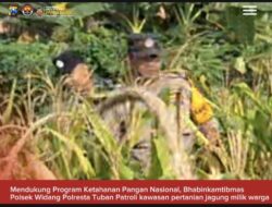 Mendukung Program Ketahanan Pangan, Polsek Widang Patroli Kawasan Lahan Pertanian Jagung