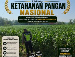 Polri Dukung Astacita, Polsek Semanding Polresta Tuban Turun Cek Tanaman jagung milik Warga di Desa Ngino