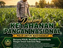 Polsek Plumpang Polresta Tuban Turun Langsung Cek Tanaman Jagung Warga