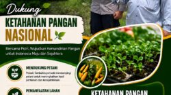Polsek Tambakboyo Polres Tuban Turun Cek Tanaman jagung Warga di Desa Ngulahan