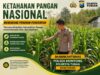 Polsek Montong Polresta Tuban Turun Cek Tanaman jagung Warga di Desa Bringin