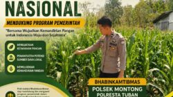 Polsek Montong Polresta Tuban Turun Cek Tanaman jagung Warga di Desa Bringin
