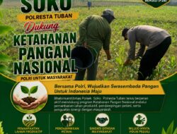 Polsek Soko Polresta Tuban Turun Langsung Cek Tanaman Jagung Warga