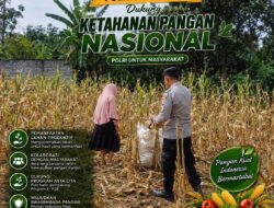 Polri Dukung Astacita, Polsek Semanding Polresta Tuban Turun Cek Tanaman jagung milik Warga di Desa Jadi
