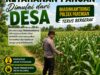 DALAM RANGKA POLRI DUKUNGAN PROGRAM ASTACITA, BHABINKAMTIBMAS DESA PACING POLSEK PARENGAN POLRESTA TUBAN SAMBANGI LOKASI TANAMAN JAGUNG DI DESA PACING KEC. PARENGAN