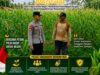 Polsek Tambakboyo Polres Tuban Turun Cek Tanaman jagung Warga di Desa Ngulahan