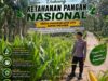 Polri Dukung Astacita, Polsek Semanding Polresta Tuban Turun Cek Tanaman jagung milik Warga di Desa Ngino