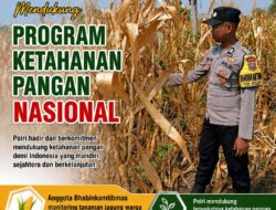 Mendukung Program Ketahanan Pangan Nasional Anggota Bhabinkamtibmas Polsek Senori Polresta Tuban Memantau Kondisi Tanaman Jagung Warga Desa Jatisari