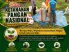 Polmas Desa Sumurgung laksanakan giat pendampingan petani kacang di Desa Sumurgung Kec. Palang Kab. Tuban. Polres Tuban Berkomitmen Untuk Mendukung Swasembada Pangan