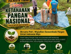 Polmas Desa Sumurgung laksanakan giat pendampingan petani kacang di Desa Sumurgung Kec. Palang Kab. Tuban. Polres Tuban Berkomitmen Untuk Mendukung Swasembada Pangan