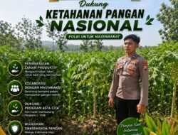 Polsek Singgahan Polresta Tuban Turun Cek Tanaman jagung Warga di Desa Mulyorejo