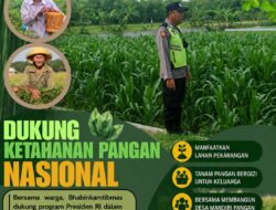 Polri Dukung Astacita, Polsek Rengel Polresta Tuban Turun Cek Tanaman Jagung Warga di Desa Sawahan