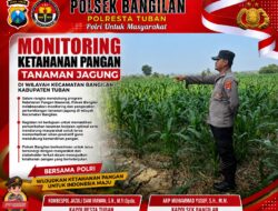 Monitoring Ketahanan Pangan Tanaman Jagung di Wilayah Bangilan