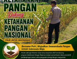 DUKUNG ASTA CITA, ANGGOTA POLSEK KEREK PANTAU PERTUMBUHAN JAGUNG PERANI DI DESA BINAAN
