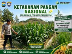 Polsek Montong Polresta Tuban Turun Cek Tanaman jagung Warga di Desa Pakel