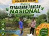 Dukung Ketahanan Pangan, Bripda Gustian Polsek Bancar Sambangi Petani dan Monitor Panen Jagung di Desa Pugoh