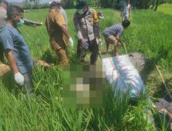 Seorang Wanita Warga Dete Ditemukan Meninggal Dunia di Persawahan, Polsek Lape Bergerak Cepat Olah TKP