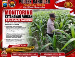 MONITORING KETAHANAN PANGAN TANAMAN JAGUNG DI WILAYAH KECAMATAN BANGILAN