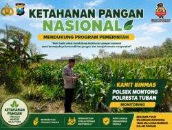 Polsek Montong Polresta Tuban Turun Cek Tanaman jagung Warga di Desa Pucangan