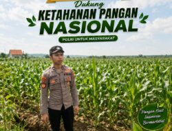 Polsek Singgahan Polresta Tuban Turun Cek Tanaman jagung Warga di Desa Lajo Lor
