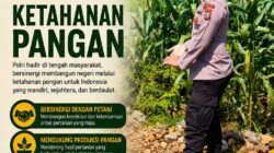 Polri Dukung Astacita, Polsek Merakurak Polres Tuban Turun Cek Tanaman Jagung Warga di Desa Tuwiri Wetan