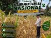 Polri Dukung Astacita, Polsek Semanding Polresta Tuban Turun Cek Tanaman jagung milik Warga di Desa Jadi