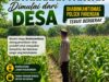 POLRI MENDUKUNG PROGRAM ASTACITA PRESIDEN RI, ANGGOTA POLSEK PARENGAN POLRESTA TUBAN LAKSANAKAN PENDAMPINGAN PETANI JAGUNG DI DESA SUKOREJO KEC. PARENGAN
