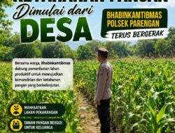 POLRI MENDUKUNG PROGRAM ASTACITA PRESIDEN RI, ANGGOTA POLSEK PARENGAN POLRESTA TUBAN LAKSANAKAN PENDAMPINGAN PETANI JAGUNG DI DESA SUKOREJO KEC. PARENGAN