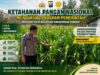 Polsek Montong Polresta Tuban Turun Cek Tanaman jagung Warga di Desa Pakel