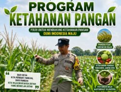 Polisi RW Polsek Senori Polresta Tuban Pantau Kodisi Tanaman Jagung Milik Warga Desa Medalem Guna Mendukung Program Ketahanan Pangan