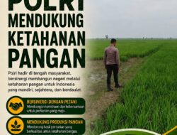 Polri Dukung Astacita, Polsek Merakurak Polres Tuban Turun Cek Tanaman Jagung Warga di Desa Tuwiri Wetan