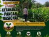 Polri Dukung Astacita, Polsek Semanding Polresta Tuban Turun Cek Tanaman jagung milik Warga di Desa Ngino
