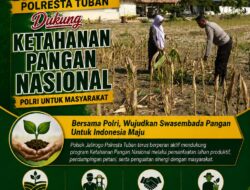 Dukung Asta Cita, Polsek Jatirogo Turun Langsung Pantau Ladang Jagung Warga Desa Dingil