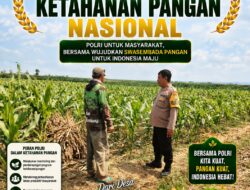 ANGGOTA POLSEK PARENGAN POLRESTA TUBAN DORONG KETAHANAN PANGAN MELALUI PENDAMPINGAN PETANI JAGUNG DI DESA MERGOASRI KEC. PARENGAN KAB. TUBAN