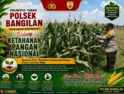 🌽 DUKUNG KETAHANAN PANGAN NASIONAL