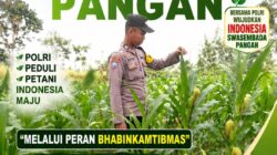 Mendukung Program Ketahanan Pangan Nasional Anggota Bhabinkamtibmas Polsek Senori Polresta Tuban Monitoring Tanaman Jagung Warga Desa Jatisari