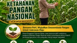 Polsek Singgahan Polresta Tuban Turun Cek Tanaman jagung Warga di Desa Tingkis