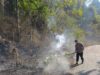 Sigap Padamkan Titik Api di Kilometer 78, Kapolsek Lunyuk Bersama Warga Tanggulangi Kebakaran Hutan dan Lahan