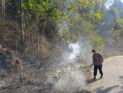Sigap Padamkan Titik Api di Kilometer 78, Kapolsek Lunyuk Bersama Warga Tanggulangi Kebakaran Hutan dan Lahan