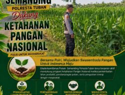 Polri Dukung Astacita, Polsek Semanding Polresta Tuban Turun Cek Tanaman jagung milik Warga di Desa Sambongrejo