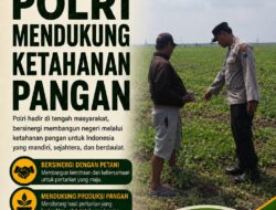 Polri Dukung Astacita, Polsek Merakurak Polres Tuban Turun Cek Tanaman Jagung Warga di Desa Tuwiri Wetan