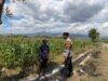 Dukung Swasembada Jagung Menuju Indonesia Emas, Bhabinkamtibmas Desa Pukat Sambangi Petani di Dusun Pukat