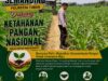 Polri Dukung Astacita, Polsek Semanding Polresta Tuban Turun Cek Tanaman jagung milik Warga di Desa Tegalagung