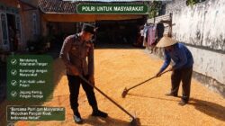 Polsek Montong Polresta Tuban Turun Cek Tanaman jagung Warga di Desa Bringin