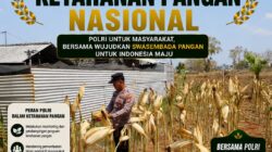 Polri Dukung Astacita, Polsek Semanding Polresta Tuban Turun Cek Tanaman jagung milik Warga di Desa Jadi
