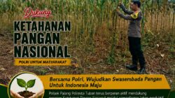 Dukung Astacita, Polsek Palang Polresta Tuban Pantau Langsung Lahan Jagung milik warga Desa Dawung
