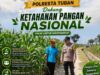 Polsek Plumpang Polresta Tuban Turun Langsung Cek Tanaman Jagung Warga