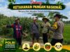 BHABINKAMTIBMAS DESA PACING POLSEK PARENGAN POLRESTA TUBAN SAMBANG PETANI UNTUK MENDUKUNG KETAHANAN PANGAN DAN ASTACITA PRESIDEN RI